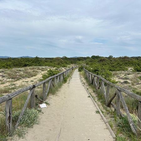 Il Mio Piccolo Angolo Di Mare Виареджо Экстерьер фото